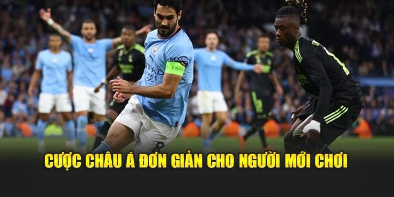 Cược châu Á đơn giản cho người mới chơi