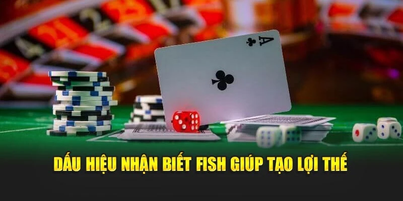 Dấu hiệu nhận biết fish giúp tạo lợi thế