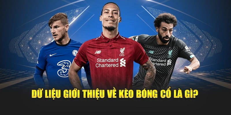 Dữ liệu giới thiệu về kèo bóng cổ là gì?