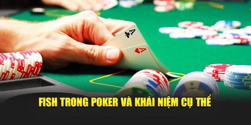 Fish trong poker và khái niệm cụ thể
