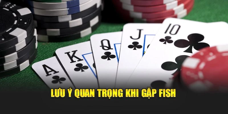 Cách chơi hiệu quả khi gặp fish