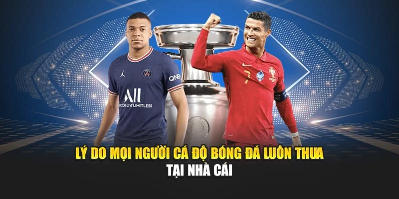 Lý do mọi người cá độ bóng đá luôn thua tại nhà cái