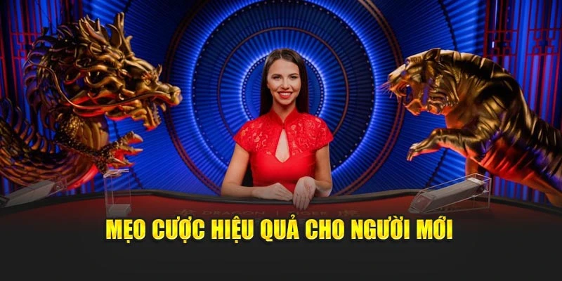 Mẹo cược hiệu quả cho người mới