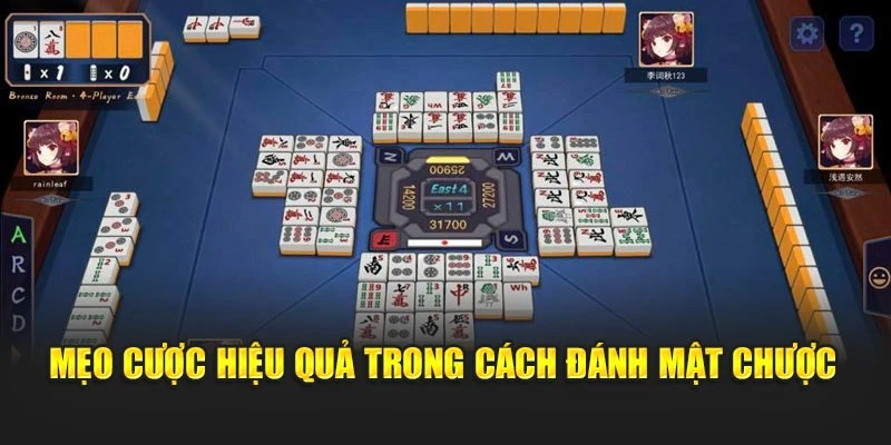 Mẹo cược hiệu quả trong cách đánh mật chược