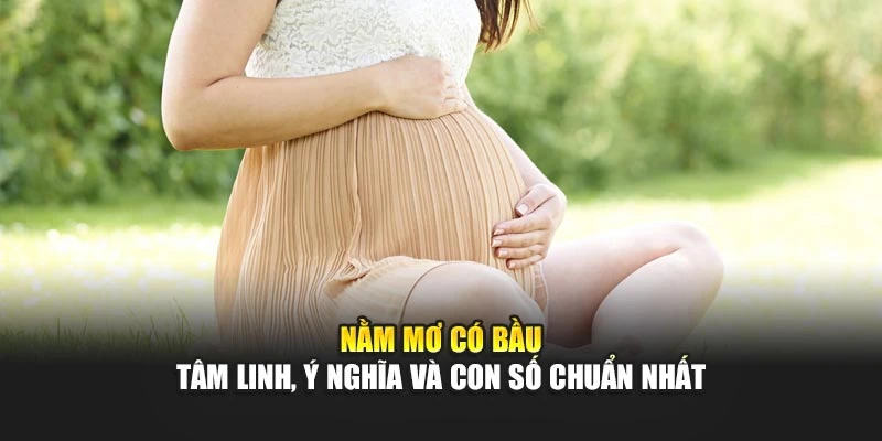 Nằm Mơ Có Bầu - Tâm Linh, Ý Nghĩa và Con Số Chuẩn Nhất