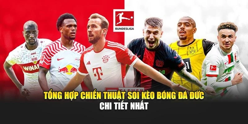 Tổng hợp chiến thuật soi kèo bóng đá Đức chi tiết nhất