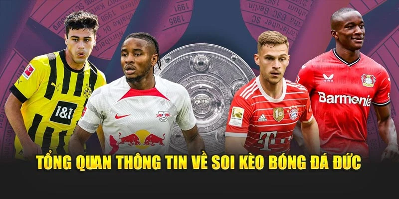 Tổng quan thông tin về soi kèo bóng đá Đức