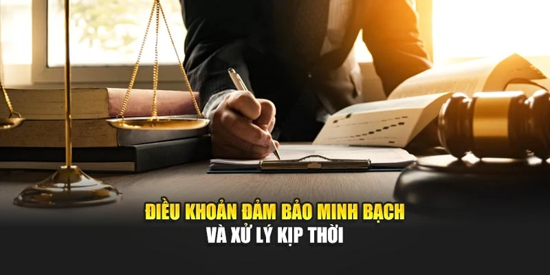 Điều khoản đảm bảo minh bạch và xử lý kịp thời