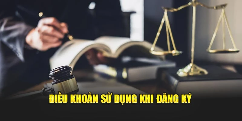 Điều khoản sử dụng khi đăng ký