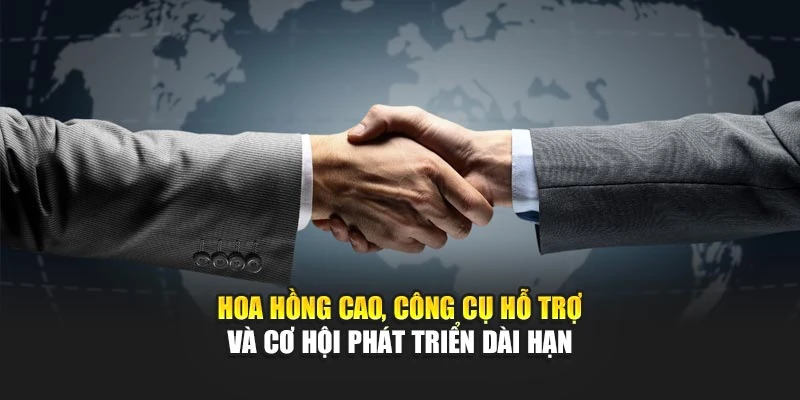 Hoa hồng cao, công cụ hỗ trợ và cơ hội phát triển dài hạn