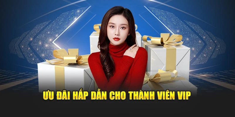 Ưu đãi hấp dẫn cho thành viên VIP